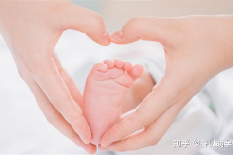 夏天杭州捐卵宝宝发烧 莫要急