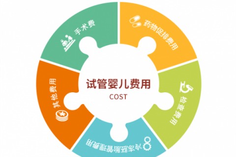 杭州捐卵宝宝肚痛，父母该怎么办？